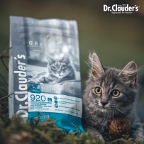 닥터클라우더 하이 프리미엄 캣 그레인프리 400g