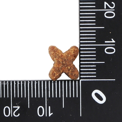 닥터클라우더 하이 프리미엄 캣 시니어 라이트 4kg